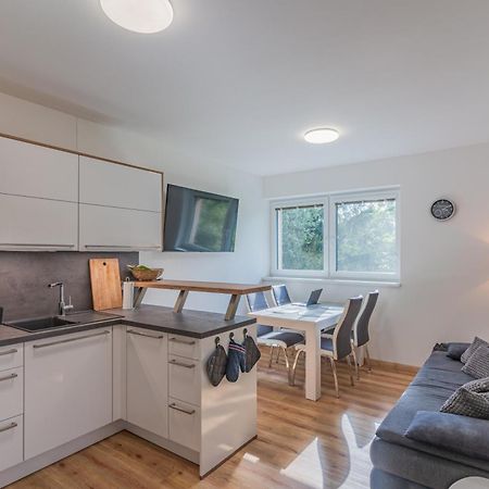 Apartman Černá v Pošumaví Exteriör bild